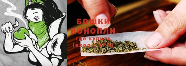 PSILOCYBIN Приозерск
