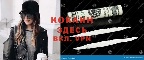 ECSTASY Ельня
