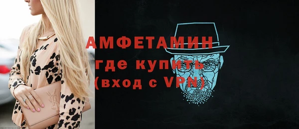 ECSTASY Ельня