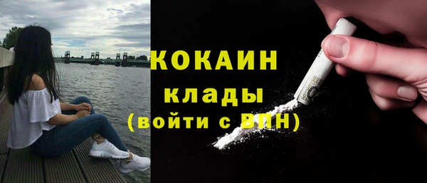 ECSTASY Ельня