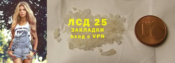ECSTASY Ельня