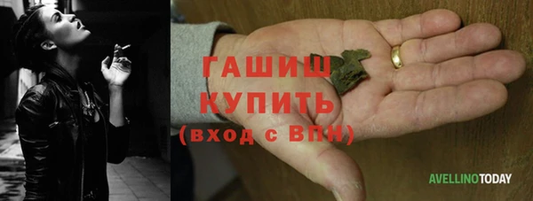 ECSTASY Ельня