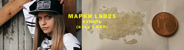 ECSTASY Ельня