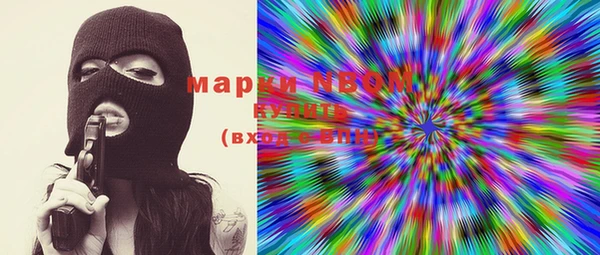 ECSTASY Ельня