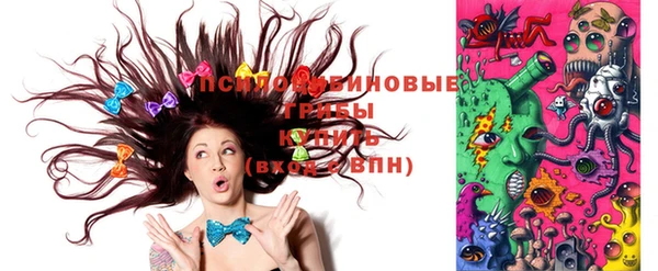 ECSTASY Ельня