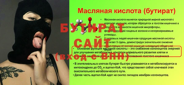 ECSTASY Ельня
