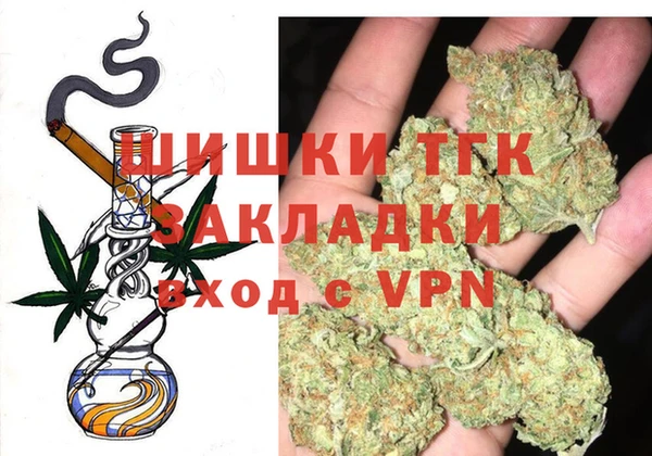 ECSTASY Ельня
