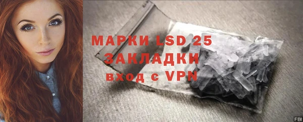 ECSTASY Ельня
