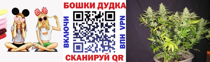 Шишки марихуана SATIVA & INDICA OMG зеркало Ленинск-Кузнецкий